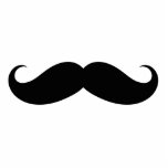 Funny Moustache Photo Sculpture Magnets