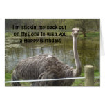 Funny Ostrich Birthday Cards