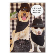 Funny Over the Hill Card