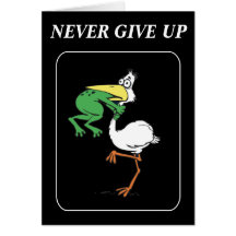 Funny Pelican Cards
