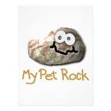 funny pet rock personalised announcement