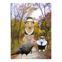 Funny Pets Thanksgiving Invitation