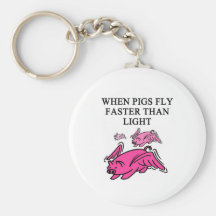 funny physics joke key chains