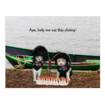 Funny Pirate Cats Post Cards