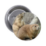 Funny Prairie Dogs Button