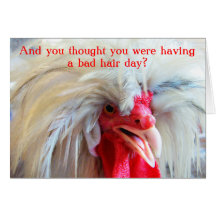 Funny Roosters bad hair day Card