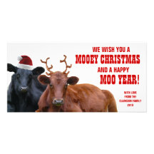 Funny Santa Reindeer Cows Christmas Beef Farm Picture Card