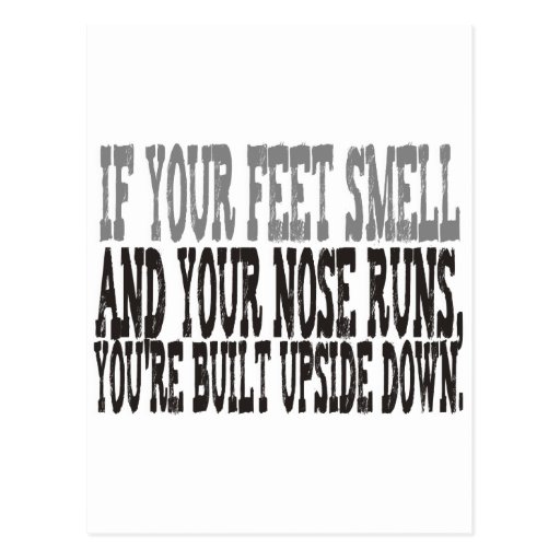Funny saying post cards