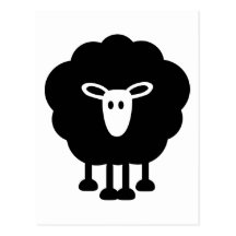 Funny sheep post cards