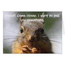 Funny Squirrel Birthday Card