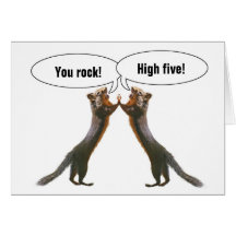 Funny Squirrels High Five Cards