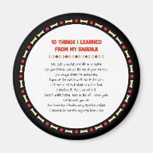 Funny Things I Learned From My Basenji Magnet