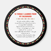 Funny Things I Learned From My Dachshund Magnets