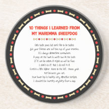 Funny Things I Learned From My Maremma Sheepdog Coaster