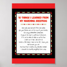 Funny Things I Learned From My Maremma Sheepdog Posters