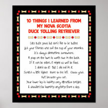 Funny Things Learned From Nova Scotia Duck Toller Posters
