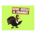 Funny Turkey spoof peace Post Cards