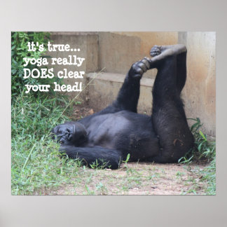 Funny Yoga Gorilla Poster (16x20)