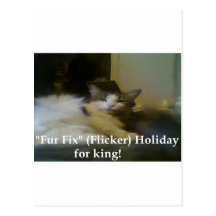 Fur Fix 4 King Postcard