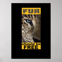 Fur should be Free Poster