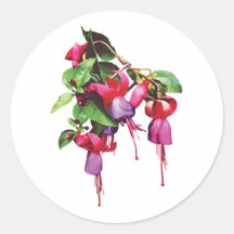 Fuschia, Marshia Stickers