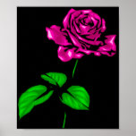 Fuschia Rose Poster