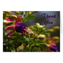 fuschias flower Thank You Note Card