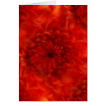 Fuzzy Navel Greeting Cards