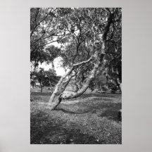Gaia photo print