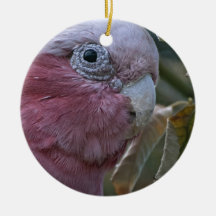 Galah Christmas Ornament