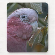 Galah Mousemat