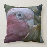 Galah Throw Pillow