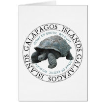Galapagos Islands Tortoise Card