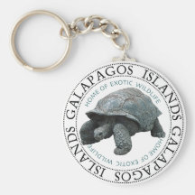 Galapagos Islands Tortoise Keychain