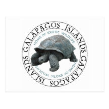 Galapagos Islands Tortoise Post Cards