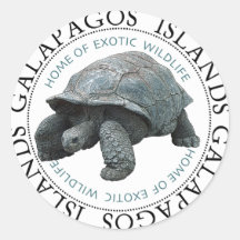 Galapagos Islands Tortoise Round Stickers