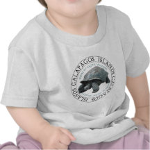 Galapagos Islands Tortoise Tees