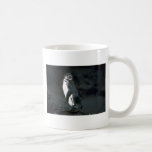 Galapagos' Penguin On Lava Rock Mugs