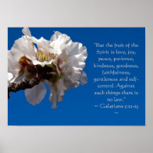 Galatians 5:22,23 Poster