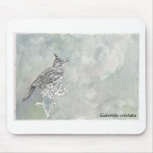 Galerida_cristata Tapete De Raton