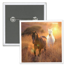Galloping Wild Horses Square Pin