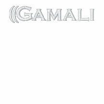 Gamali Sport Fleece Embroidered Hoody