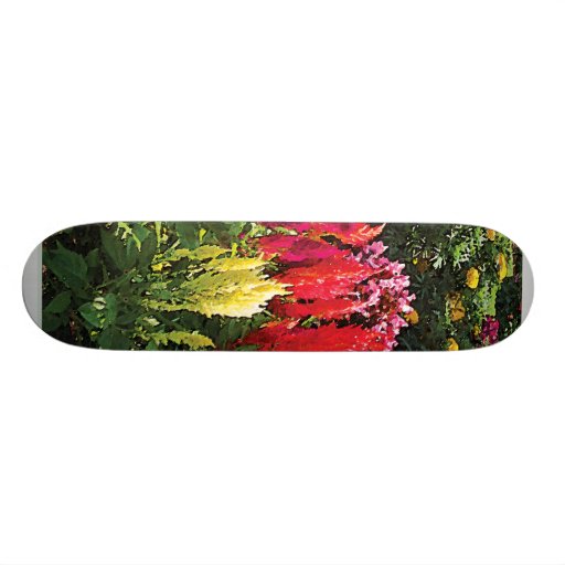 Garden at Elizabeth Park Skateboard