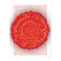 Garden Beauties "Gerbera" Postcard