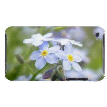 Garden Forget Me Nots iPod Touch Case