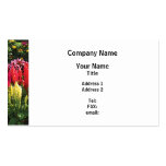 Garden in Elizabeth Park Business Cards