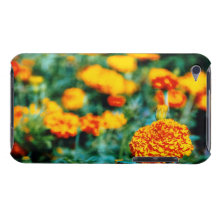 Garden of zinnias iPod touch case
