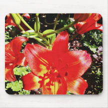 Garden Park Flower Mouse Pads
