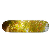 Garden Path Skateboard