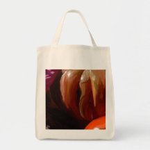 Garden Vegetables Bags